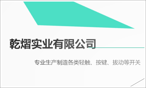 汕头开关